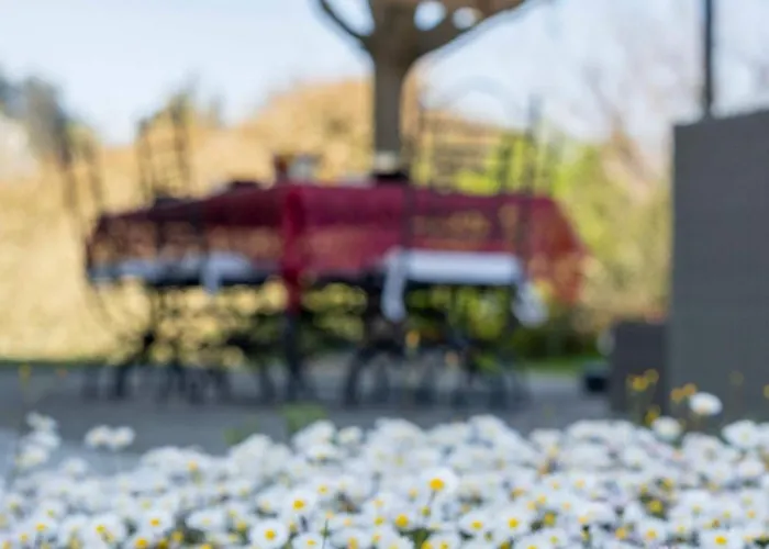 Homeby, Corte Dello Zanchino Willa *