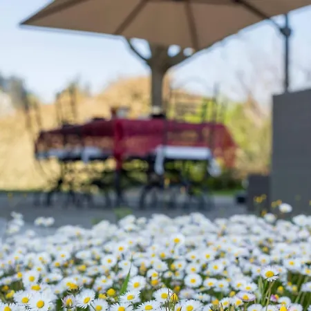 Homeby, Corte Dello Zanchino Villa *